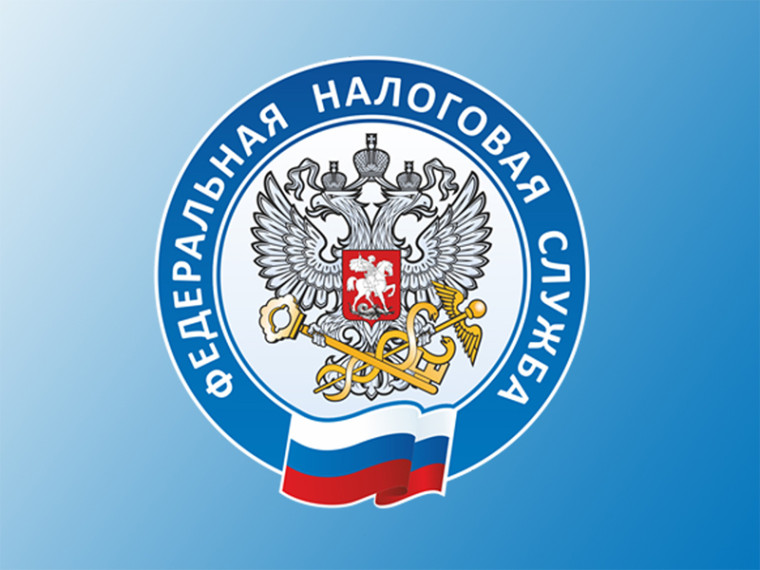 Получении государственных услуг ФНС в МФЦ. Получении государственных услуг ФНС в МФЦ.